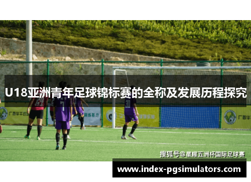 U18亚洲青年足球锦标赛的全称及发展历程探究