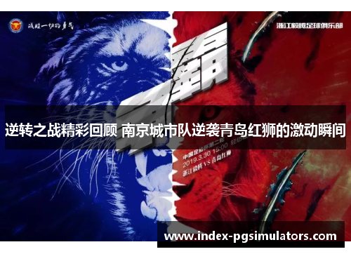 逆转之战精彩回顾 南京城市队逆袭青岛红狮的激动瞬间