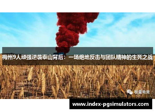 梅州9人顽强逆袭泰山背后:一场绝地反击与团队精神的生死之战 梅州9人顽强逆袭泰山背后:一场绝地反击与团队精神的生死之战