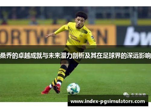 桑乔的卓越成就与未来潜力剖析及其在足球界的深远影响